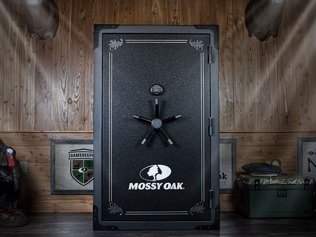 Leading eCommerce Brand for Homes Safes, Gun Safes, Handgun Safes and More – 13 Years in Business – Website Only Sales