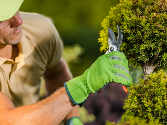 2 Indianapolis Area Plant Nurseries | Includes $4.2M in Land & FF&E