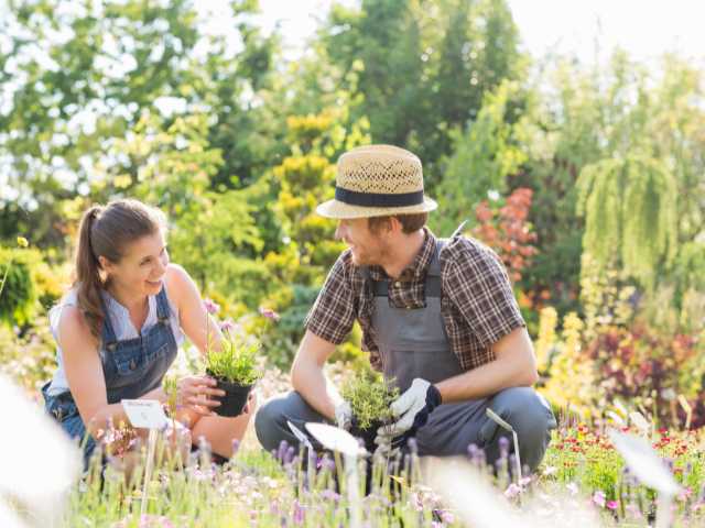 7 Year Online Plant Nursery | 134% YoY Growth | Home Based | $65 AOV | Loyal Customers