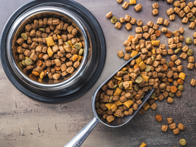 Amazon eCommerce Business | Pet Supplies | 4.5 Star Rating