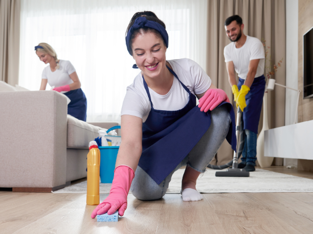 10-Year Residential & Commercial Cleaning Brand | North Detroit | Recurring Revenue | Growth Potential