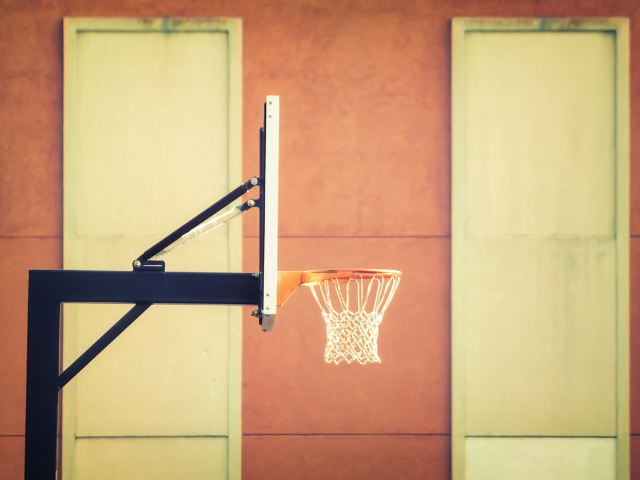 DTC eCommerce Brand – Custom Basketball Hoop Artwork – $450 AOV – Strong Social Following – 25,000+ Monthly Unique Visitors