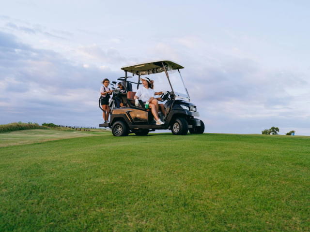 SBA Pre-Qualified eCommerce Brand | Golf Cart Parts & Accessories | $750 AOV | DTC Website Sales | 35,000 Monthly Visits | 16-18 Orders Daily