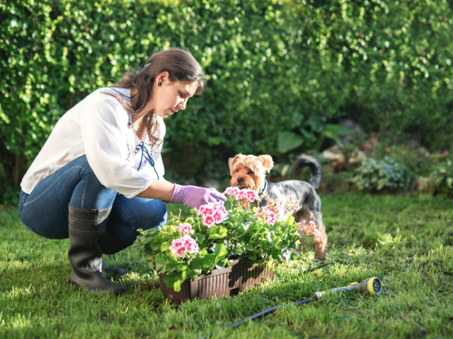 Amazon FBA eCommerce Brand in the Gardening & Camping Verticals – Design Patent in Place – $48 AOV – 7% TACOS – US & UK Sales on Amazon – PPC Agency Handles Ads