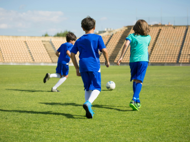 10-Year Sports-Themed Subscription Box eCommerce Brand | 500+ Monthly Subscribers | Seller Financing