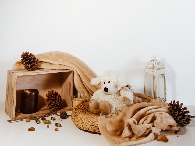 Amazon FBA Personalized eCommerce Brand – Custom Fleece Blankets – 39% Profit Margins – Easy to Transition