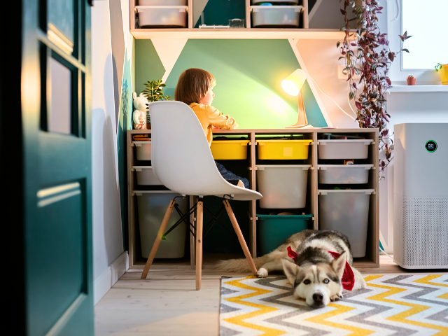 MultiChannel eCommerce Brand in the Air Purification & Sanitization Vertical – Strong DTC & Amazon Sales – YOY Growth – Full Ops & Marketing Team in Place