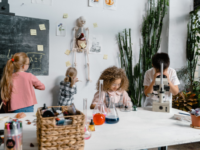 SBA Pre-Qualified Subscription eCommerce & Wholesale Brand | Science Vertical | 11-Year History | 38% Recurring Order Rate | 423,000+ Monthly Visitors