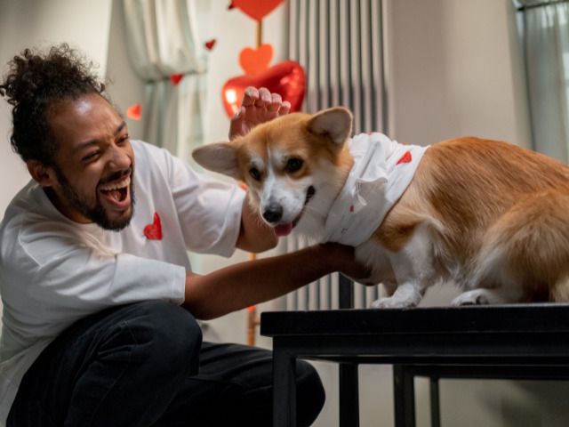 DTC eCommerce Brand – Tshirts & Accessories – Cause Marketing Drives Sales – Helping Dogs in Need – Strong YOY Growth – Focused on Facebook Marketing