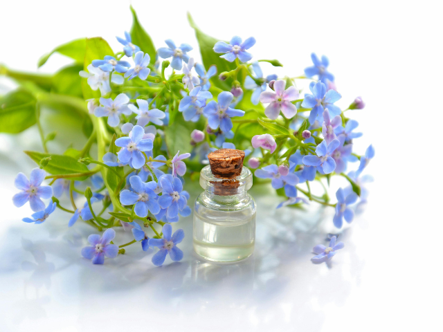 Personal Wellness eCommerce Brand | 70% Seller Financing | Strong ARR