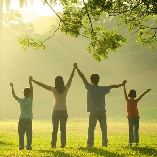 MULTI-BRANDED CONSUMER PRODUCTS ECOMMERCE RETAILER IN BABY, HOME, FITNESS, GOLF AND MORE