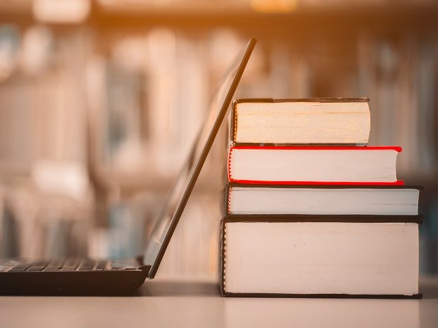 SBA Eligible Growing Dropship eCommerce Retailer offering Popular Books, Movies, Toys and Video Games – Proprietary, In-house Software developed for Quick Deliveries – Strong eBay Presence