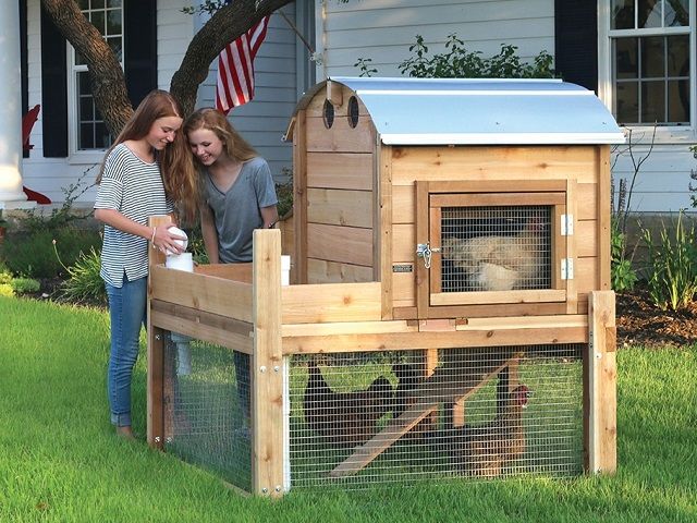 Backyard Chicken eCommerce Retailer – Live Chickens, Chicken Coops & More – 52% Repeat Order Rate – 14 Years in Business – 31 Employees on Staff
