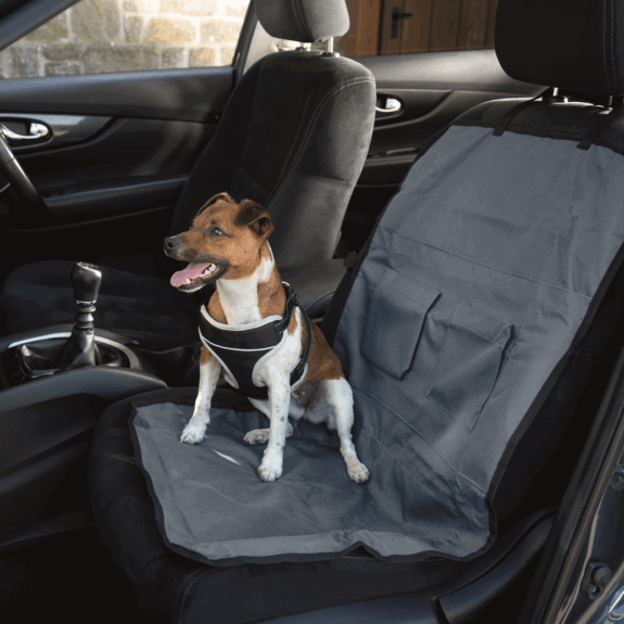 NICHE AUTOMOBILE ACCESSORIES BRAND – ECOMMERCE – MULTIPLE CHANNELS & COUNTRIES