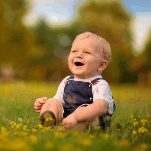 BRANDED BABY & AUTO PRODUCTS ECOMMERCE RETAILER – 2 PRIVATE LABEL BRANDS