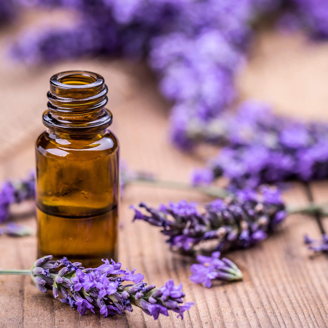 HEALTH & PERSONAL WELLNESS ECOMMERCE BRAND – SKINCARE, ESSENTIAL OILS & MORE