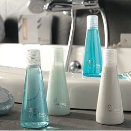 14 YEAR OLD INTERNET WHOLESALE WEBSITE BIZ IN THE HOSPITALITY SECTOR