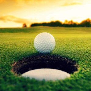 GROWING CUSTOMIZABLE GOLF EQUIPMENT AND ACCESSORIES INTERNET BUSINESS