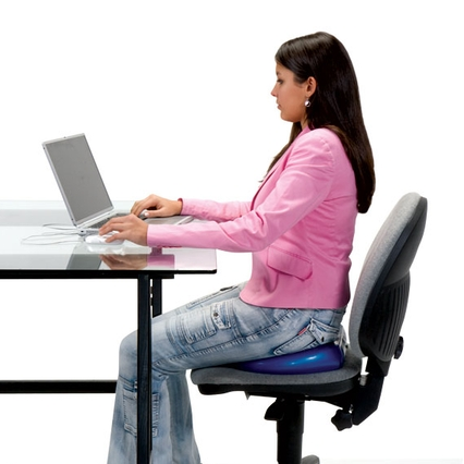 8 YEAR ESTABLISHED PRIVATE LABEL SEAT CUSHION ECOMMERCE COMPANY