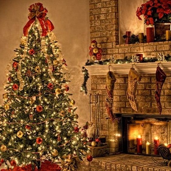 CHRISTMAS TREE ECOMMERCE BUSINESS – OVER 8 YEARS SEASONED!