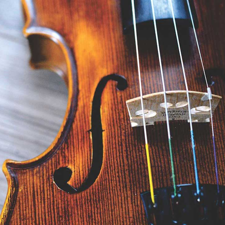 NICHE ECOMMERCE RETAILER IN MUSICAL INSTRUMENT SUPPLIES & ACCESSORIES SPACE