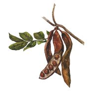 NATURAL & ORGANIC CONSUMER DRY GOODS ECOMMERCE COMPANY