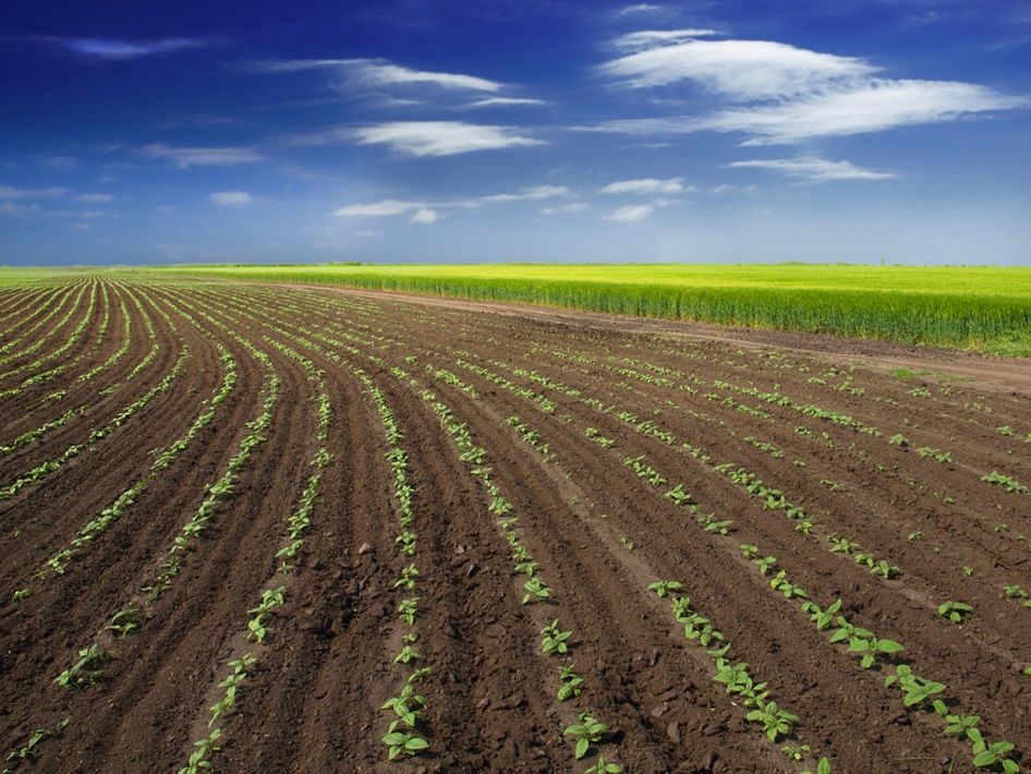 Organic, Eco-Friendly Herbicides & Pesticide eCommerce Company – 100% Patented Offerings – Entirely USA Manufactured