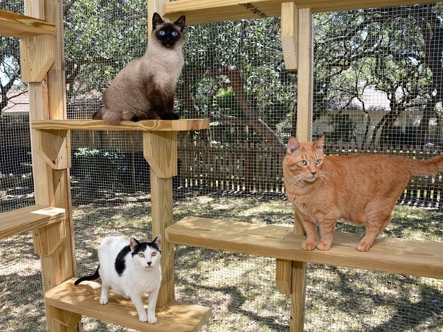 17 Year Pet Products Company – 3 Brands & Multiple Patents – Focused on Pet Containment with 250+ SKUs – 38% Net Margins – 27% Repeat Order Rate