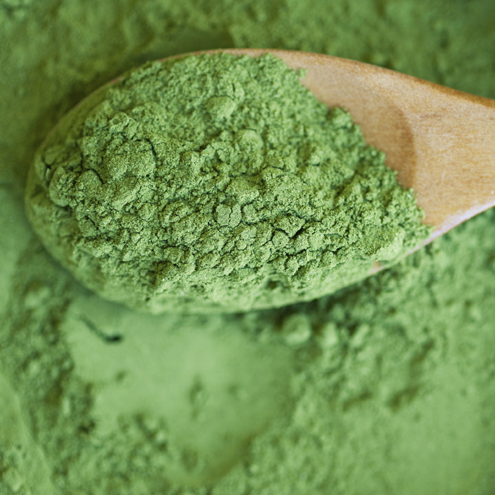 Nutritional Supplements eCommerce Retailer  |  Multiple Website Sales  |  Amazon is an Immediate Growth Channel