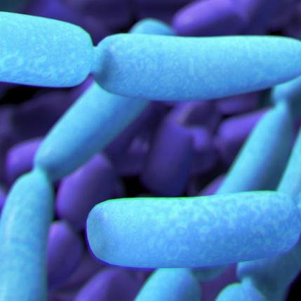 WORLD FAMOUS DOCTOR FORMULATED PROBIOTICS BRAND – 45% REPEAT CUSTOMERS!