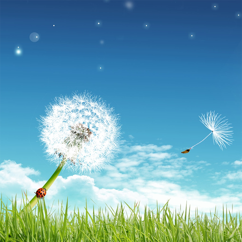 BRANDED ORGANIC, ECO-FRIENDLY PRODUCTS – ODOR REMOVAL & CLEANERS