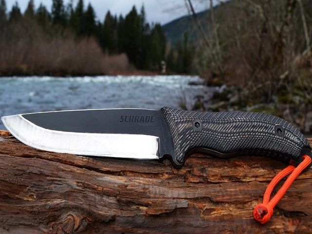 25 Year eCommerce Leader in the Cutlery, Knives, Shaving & Security Products Verticals – 30% Repeat Order Rate – 530,000+ Social Media Followers