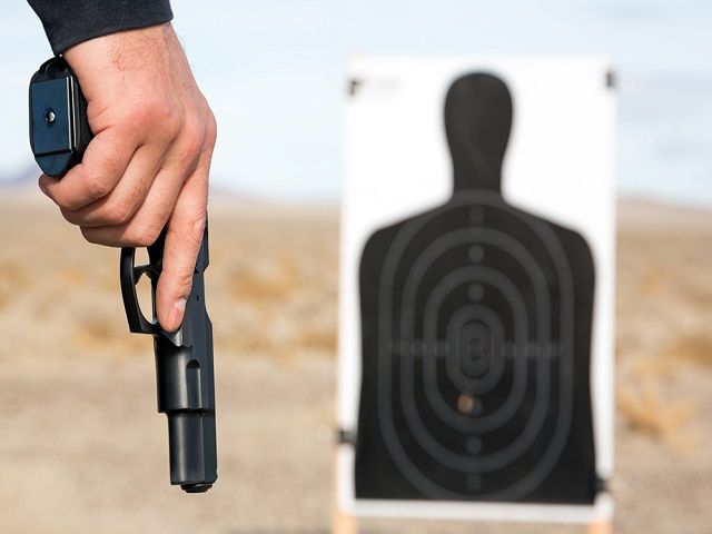 Laser Dry Fire Training System Brand – eCommerce, B2B & Govt Sales Channels – 3 Patents Pending on Software – 50,000 Active App Users