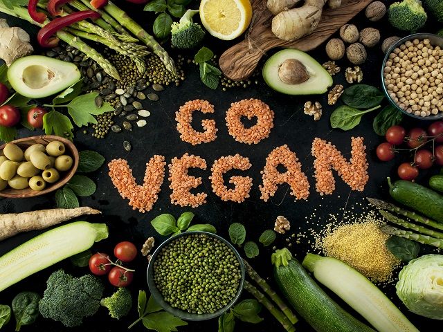 Social Media Influencer Driven eCommerce Business in the Plant Based, Emerging Diet & Vegan Verticals