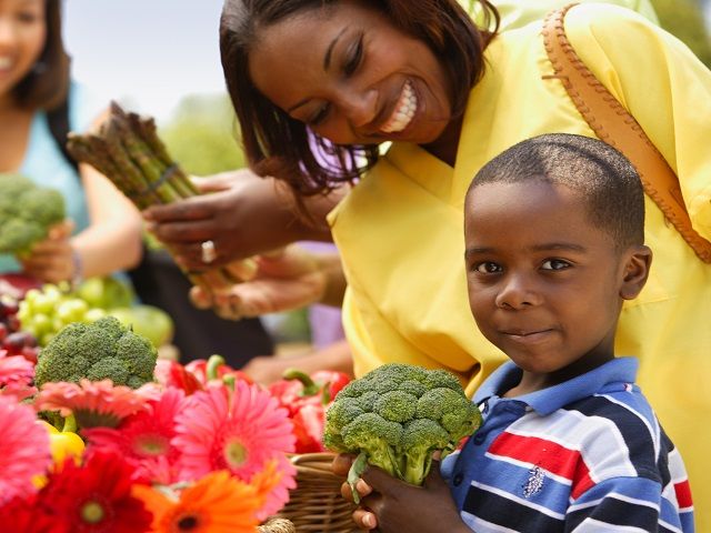 22 Year Online Certification Program for Vegetarian, Vegan and Plant-Based Consumer Products – 97 Percent Recurring Revenue