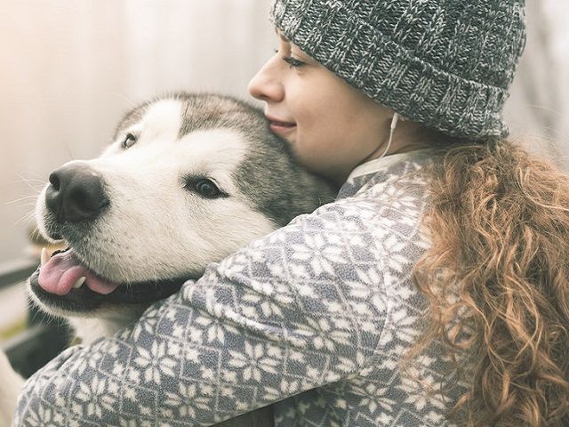 Pet Skincare, Pet Supplements & RV Products eCommerce Retailer – Amazon FBA