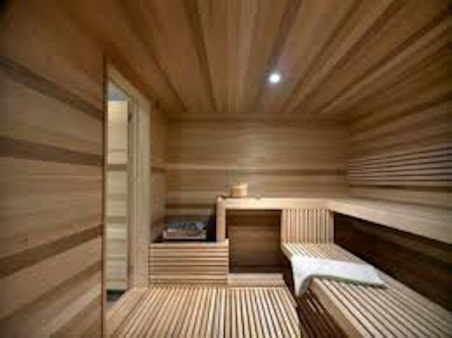 Saunas.com – 22 Year Old Premium EMD & Operating Business – Super Low Competition