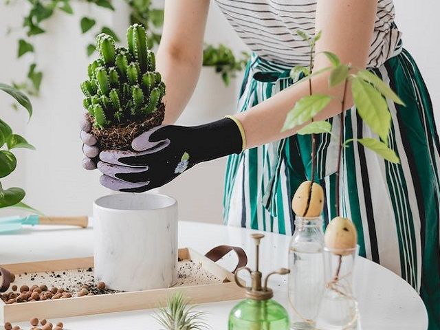 Scaling Indoor Gardening Kits, Sets and Gifts eCommerce Brand