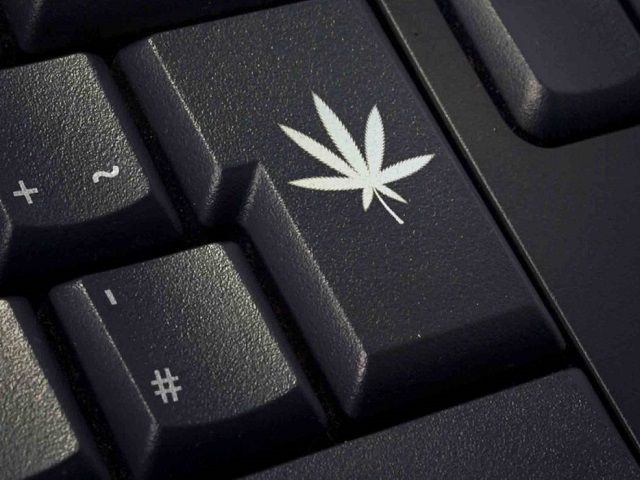 SaaS Company in the Cannabis Industry – Seed-to-Sale Compliance Software Platform – Monthly Subscriptions