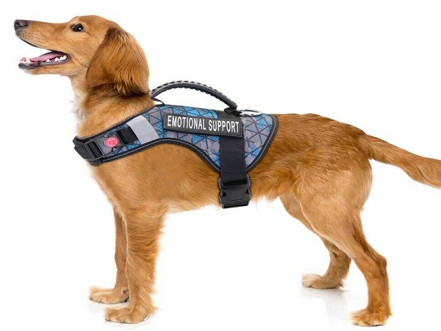 Telehealth Platform for Pet Owners – Linking Mental Health Practitioners with Pet Owners for ESA Letters – 83,000 Pet Owner Clients