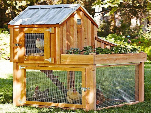 Manufacturing & eCommerce Retailer in the Backyard Pet (Chickens and more) Product & Rental Verticals