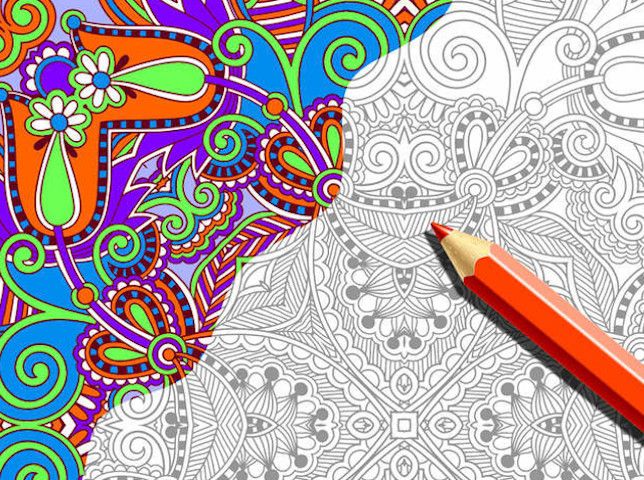 Scaling eCommerce Brand in the Art Supplies Segment – eCommerce Retailer – Amazon FBA