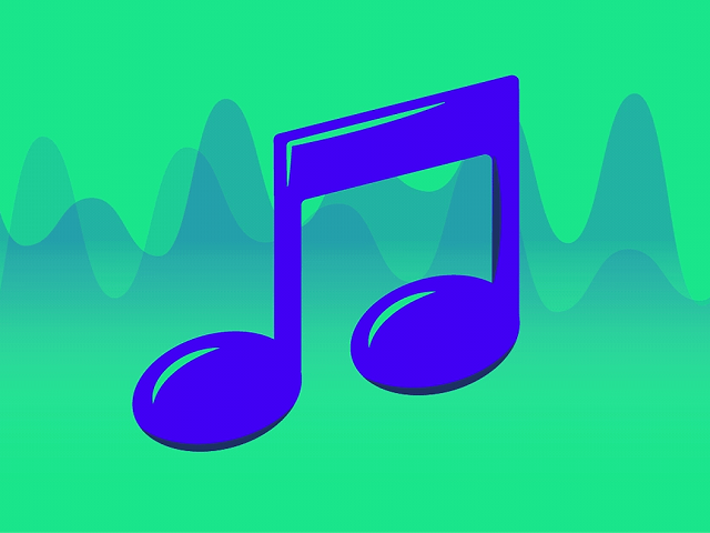 Online Music Store & Licensor of Digital Stock Music – 16,000 Newsletter Subscribers – Top Google Rankings