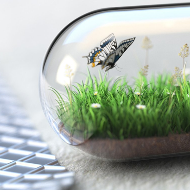 MASSIVELY GROWING, BRANDED VITAMINS & SUPPLEMENTS ECOMMERCE COMPANY