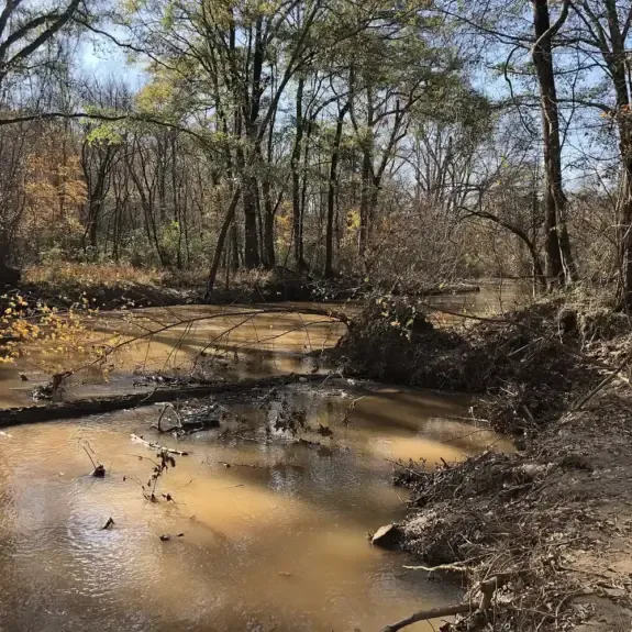 Big Creek near the Greenway in Alpharetta, GA for business brokerage buyers and sellers