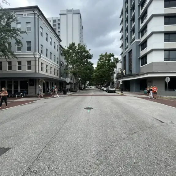 Tree-lined street in downtown Orlando near Lake Eola