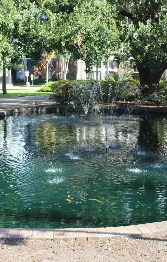 Fountain and pond in Lake Eola Park, a green space in the heart of downtown Orlando