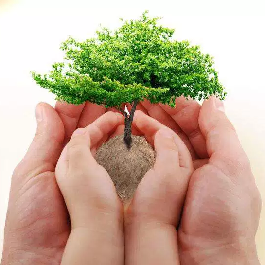 BRANDED ORGANIC SKINCARE & BABY PRODUCTS INTERNET COMPANY