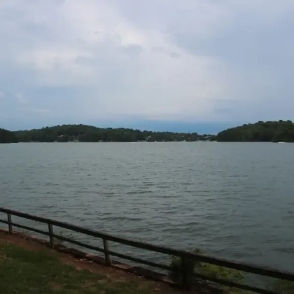 Lake Lanier shoreline in the Gainesville, GA area for business brokerage buyers and sellers