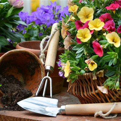 BRANDED & SCALING ECOMMERCE COMPANY IN THE GARDEN TOOLS SECTOR